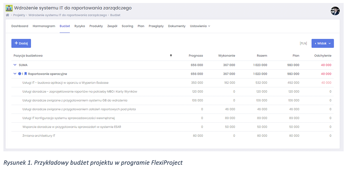 1 Przykładowy budżet projektu w programie FlexiProject